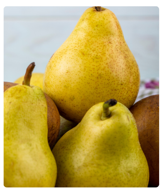 Diseño sin título - 2024-12-24T122328.854