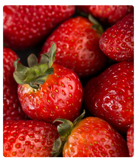 Diseño sin título - 2024-12-24T133800.163