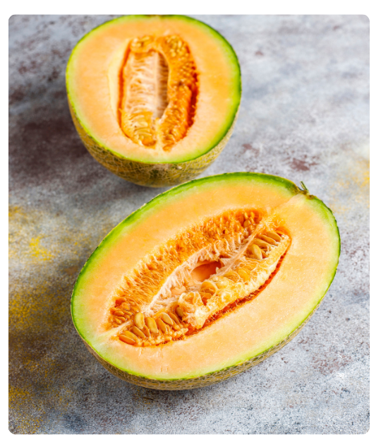 Diseño sin título - 2024-12-24T134154.463