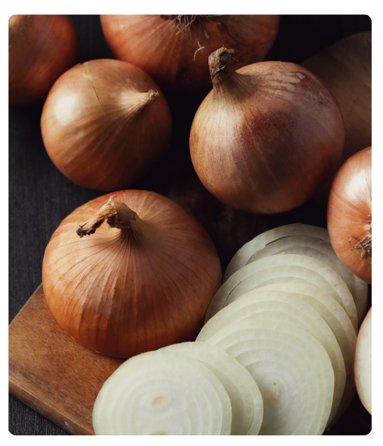 Diseño sin título - 2024-12-24T134312.839