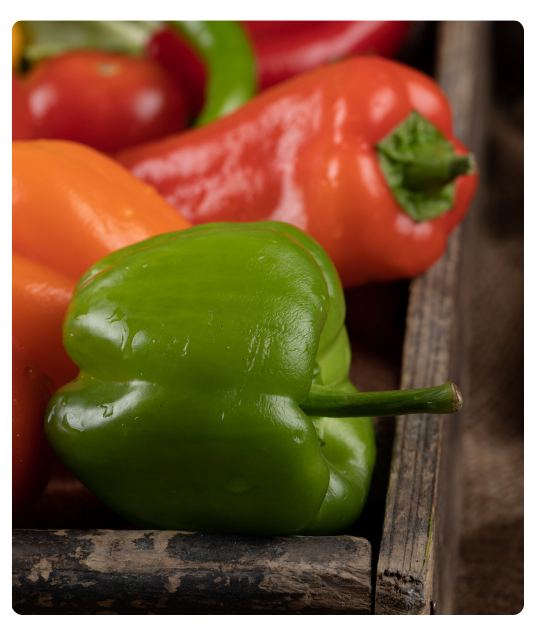 Diseño sin título - 2024-12-24T134540.825