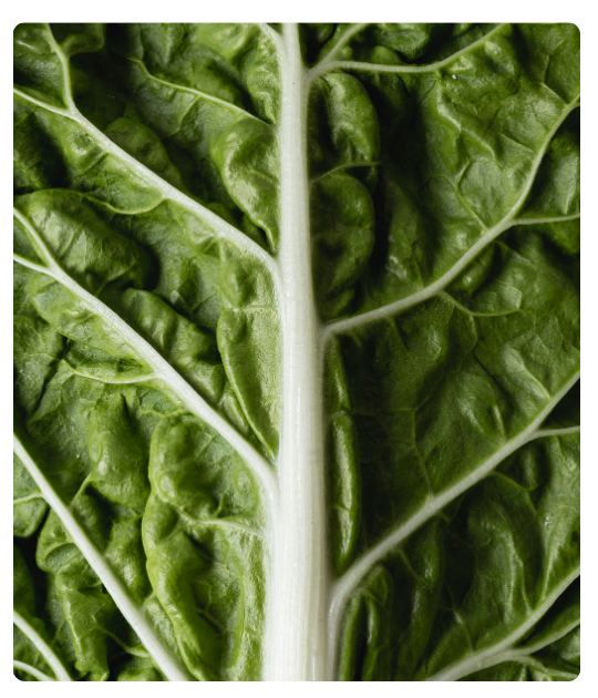 Diseño sin título - 2024-12-24T134627.654