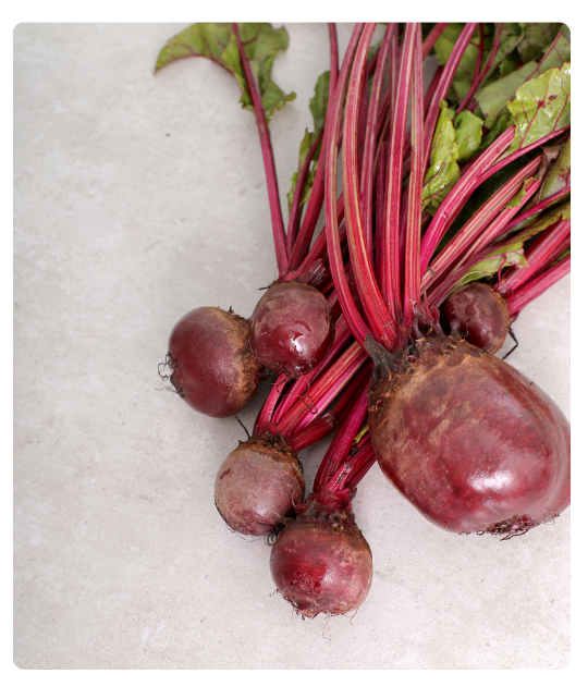 Diseño sin título - 2024-12-24T134719.814