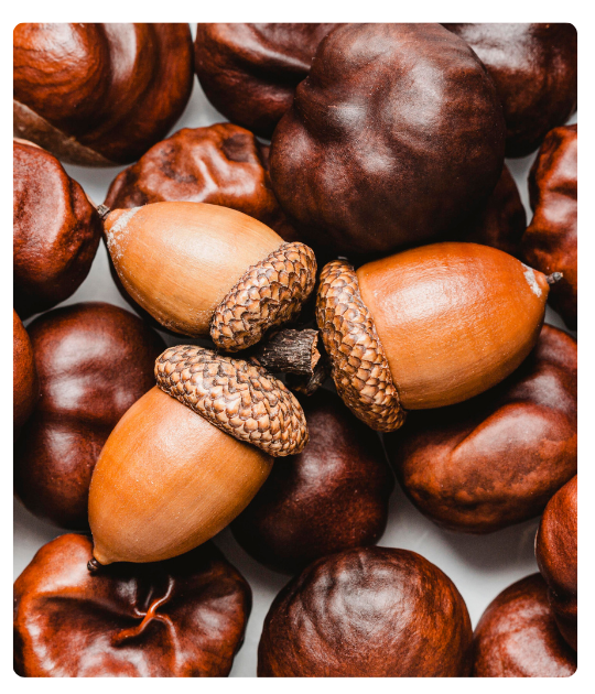 Diseño sin título - 2024-12-26T103244.883