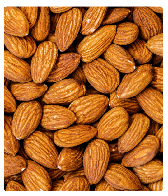 Diseño sin título - 2024-12-26T103439.360