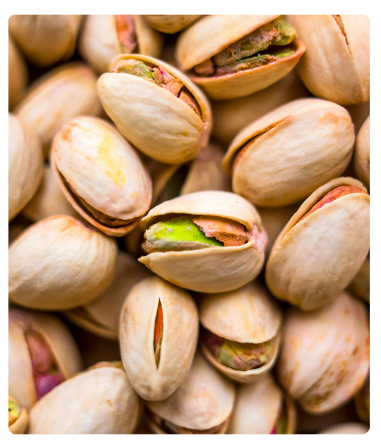 Diseño sin título - 2024-12-26T103547.950