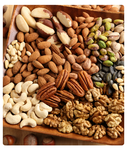 Diseño sin título - 2024-12-26T103630.321